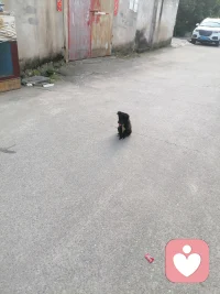 不用相信有大佬，人间没有无缘无故的爱配图