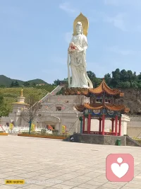 专注情绪疏导｜心事倾听｜压力缓解
接纳所有迷茫、委屈与焦虑，做你的专属情绪树洞✨