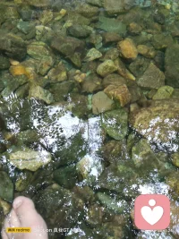 .以倾听为温柔，以共情为底色，做你深夜里最靠谱的心灵陪伴者。
​
 不用伪装懂事，不用独自硬扛，我一直都在，等你倾诉。