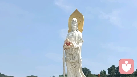 自测问答