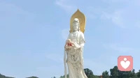 自测问答