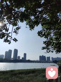 每日正能量：
1.遇到爱你的人，学会感恩，遇到你爱的人，学会付出；
2.遇到你恨的人，学会原谅，遇到恨你的人，学会道歉；
3.遇到欣赏你的人，学会感激，遇到你欣赏的人，学会赞美；
4.遇到嫉妒你的人，学会低调，遇到你嫉妒的人，学会转化；
5.遇到不懂你的人，学会沟通，遇到你不懂的人，学会请教。
 让我们遇到任何人都用欣赏和期待的目光去对待！配图