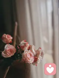 真正的强大，
不是从不跌倒，
是每次跌倒后，
依然选择站起来，
继续往前走。
我们比自己
想象中更有力量。
​配图