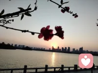 《遇见自己》
有人喜欢你，
那是他在你身上，
照见了他喜欢的特质，
跟你无关，
你淡然面对，并做回自己。
 
有人讨厌你，
那是他在你身上，
投射到他排斥的自己，
跟你无关，
你坦然面对，并做好自己。
 
有人欣赏你，
那是他透过你，
碰撞了内在的自己，
跟你无关，
你欣然面对，并平静做自己。
 
世界上没有无缘无故的相遇或者离开，
爱或者怨恨，都只是遇见了自己。配图