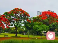 从前车马很慢，慢到一生只能爱一个人
现在生活质量越来越好了，可是能找一个真诚的人却越发难了，
甚至能看到对方换季的衣服已经很不错了。
我们终其一生 不过在寻找一个一起🍚🍽️吃饭  
好好说话 一直陪伴自己的人罢了配图