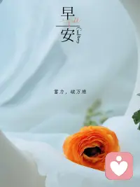 把期待降低，把努力拔高
减少内耗，持续深耕
好运自会不期而遇
​
​早安吉祥🦋配图