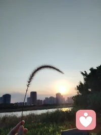 允许脚步放慢
允许偶尔停下来喘息
松弛地坚持前行
反而拥有最长久的力量配图