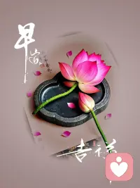 生活给过你多少慌张
就教会你多少从容
磨砺，是成长的勋章
​配图