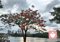 顺时如春园之草，不见其长而日有所增；
逆时如砺石之铁，不见其损而日有所坚。