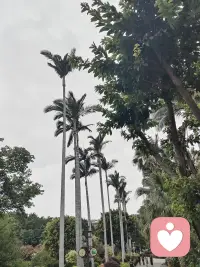 生活哪有什么标准答案，认真对待每一天就是答案。
聚散苦乐都是常态，不必强求事事圆满，
心放宽些，揣着阳光往前走，平凡日子也能有自己的光
