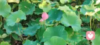 六项不动产：
1. 健康的身体
2. 自洽的信念系统
3. 稳定的情绪
4. 翻篇的能力
5. 赚钱的本事
6. 像孩子一样怀抱对明天的热情配图