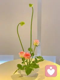 焦虑的反义词是具体。把“万一”换成“第一步”，
成功的答案不在远方，就在你此刻的行动里。