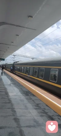 不想说话，不想社交，不想工作，不想出门，做什么都没力气，什么都不想动，可又不得不动，不得不做。精气神散尽，身体感觉特别累，无法诉说的虚乏疲惫，刚刚查了一下，原来是心脉受损！