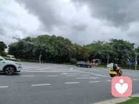 把情绪丢在秋风里，不听，不说，不等，不盼，
 把生活调成自己喜欢的频道，安静，自在，就很好。