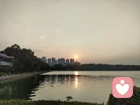 走过半生，才慢慢明白，热闹是旁人的，独处才是自己的。年轻时总爱奔赴人海，热衷推杯换盏的热闹，贪恋人群簇拥的暖意。我们忙着结识朋友、拓展圈子，总想用外界的认可填满生活，生怕独处就等同于孤单。那时以为，身边人声鼎沸，内心便不会荒芜。可踏入中年，肩上扛起家庭与事业，上有长辈要照料，下有子女要牵挂，日复一日的奔波、应酬、周旋，慢慢耗尽了心力。渐渐开始厌倦无意义的酒局、客套的寒暄、人情里的算计与攀比。不再愿意把时间浪费在敷衍的相处中，比起喧嚣鼎沸，一方安静的天地，反而成了心底最踏实的归宿。

很多人误以为，中年人的独处是孤僻、是消沉，是被生活孤立。实则不然。这是一种历经世事之后的主动选择，是疲惫灵魂的自我救赎。人到中年，身体的精力不再旺盛，心理也开始渴望“减负”。繁杂的社交会持续消耗情绪，而独处，就像给紧绷的生活按下暂停键。关上房门，抛开职场的规则、家庭的琐碎、旁人的期待，不用刻意迎合谁，不用勉强微笑，不用斟酌言语。在这份全然的安静里，紧绷的神经慢慢松弛，积压的情绪得以安放。

· · ·

独处，更是一场与自我的深度对话。前半生，我们总在扮演各种角色：员工、伴侣、父母、子女，活在他人的目光里，渐渐弄丢了真实的自己。而独处的时光，让我们从诸多身份中抽离，静下心来审视来路，梳理心事。回望半生得失，接纳生活的不完美，也看清内心真正想要的生活。那些想不通的困惑、解不开的心结，往往在独处的宁静中，慢慢有了答案。

心理学上讲，人到中年，内心丰盈度逐步提升，不再需要依靠外界的热闹填补空缺。我们见过人情冷暖，尝过悲欢离合，心智愈发成熟笃定。不再惧怕一个人相处，反而享受这份独有的清欢。一杯茶，一本书，一方小院，一段无人打扰的时光，便能让人内心安稳。独处从不是与世隔绝，而是精简圈子、过滤杂念，把有限的精力，留给自己和真正重要的人。

中年的独处，是岁月赠予的通透。不再强求所有人理解，不再追逐浮华的热闹，学会和孤独共处，和生活和解。在安静中修养身心，在独处中积蓄力量。往后余生，不恋喧闹，不惧孤单，守一份清宁，活一份自在，便是中年最好的状态。