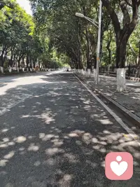 世上没有一份工作不辛苦，也没有一处人事不复杂，无论我们当下正经历什么，都要调整好心态，乐观向上，迎着阳光，继续前行，人生百般滋味，生活需要笑着面对。