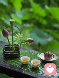 早上好呀！喝茶…配图