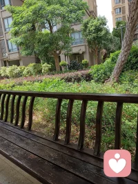不必追赶热闹
沐浴阳光，静闻花香，听小区鸟语
慢下来，就被生活温柔治愈了配图