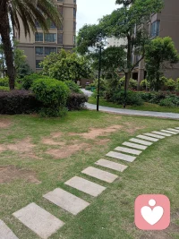 不必追赶热闹
沐浴阳光，静闻花香，听小区鸟语
慢下来，就被生活温柔治愈了配图
