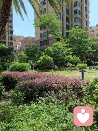 阳光、空气、花草树木，都在无条件不求回报的滋养着我们，它们从不诉说自己的伟大，也从不炫耀自身的馈赠，安静包容，自在奉献！反观人心，总急于索取、渴求认可，不如学着自然这般，向内沉淀