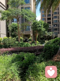 阳光、空气、花草树木，都在无条件不求回报的滋养着我们，它们从不诉说自己的伟大，也从不炫耀自身的馈赠，安静包容，自在奉献！反观人心，总急于索取、渴求认可，不如学着自然这般，向内沉淀