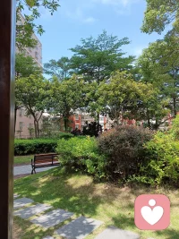 阳光、空气、花草树木，都在无条件不求回报的滋养着我们，它们从不诉说自己的伟大，也从不炫耀自身的馈赠，安静包容，自在奉献！反观人心，总急于索取、渴求认可，不如学着自然这般，向内沉淀