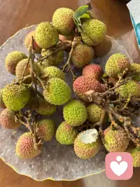 又到吃荔枝的季节了配图