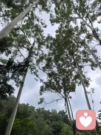 分享大自然配图