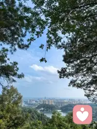 天气真的好热配图