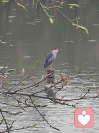 生活难免疲惫，情绪总要归处
专业倾听，真诚陪伴
帮你卸下压力，轻装前行