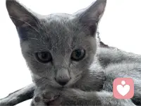 一个温暖的微笑，一次及时的援手，都能传递善意。你对待世界的方式，决定了世界反馈给你的温度。心存善良，常行好事，便是为自己积攒福气。
