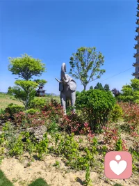 给自己一点时间，不要焦急，一步一步来，一日一日过，请相信生命的韧性是惊人的，跟自己向上的心去合作，不要放弃对自己的爱护。
