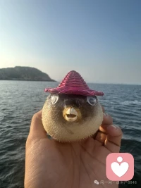 什么都不想做，躺着赚钱配图