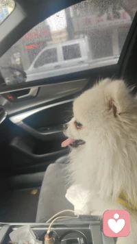 新人倾听师报到✨
专注陪伴与倾听，不评判、不打断、耐心共情。
如果你需要一个情绪出口，我随时在线等候。