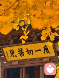 如何自我堪验恶业深浅的征兆？

了凡四训》中，袁了凡指出人往往“心粗眼翳”难以自察过失，但若‌过恶深重‌，身心会出现六种明确的“作孽之相”，可作为自我检视的标尺 ：‌‌

恶业深重的六种征兆
‌心神昏塞，转头即忘‌：精神萎靡、头脑昏沉，记忆力急剧下降，做事心不在焉，仿佛心性被蒙蔽 。
‌无事而常烦恼‌：并无实际困境，却莫名焦虑、胡思乱想，内心不得安宁，属自寻烦恼 。
‌见君子而赧然消沮‌：遇到品德高尚者，非但不生敬仰，反而感到羞愧、沮丧或想逃避，内心有愧 。
‌闻正论而不乐‌：听到圣贤道理或正能量言论，不仅不欢喜，反而抵触、厌烦甚至生气，习气与正法相悖 。
‌施惠而人反怨‌：好心帮助他人，对方不领情反而怨恨，这往往折射出自身发心不纯或方式有误，招致逆缘 。
‌夜梦颠倒，甚则妄言失志‌：频繁做噩梦、梦境混乱，严重时出现语无伦次、精神恍惚或丧失理智的状态 。‌‌
核心判断逻辑
若出现上述‌任意一类‌现象，即警示恶业已重，需立即“奋发，舍旧图新” 。判断的关键不在于外在遭遇多少灾难，而在于‌内心状态是否浑浊‌：是否失去清明、是否排斥善法、是否良知不安 。此外，若长期感觉身体沉重、能量不足，也是业力阻碍的侧面反映 。‌‌

应对建议
发现征兆不必恐慌，这正是改命的契机。了凡强调“改过之法”需具备‌耻心、畏心、勇心‌，通过真诚忏悔（发露过错）、断相续心（不再重犯）来消减业力，而非沉溺于自责 。‌‌配图