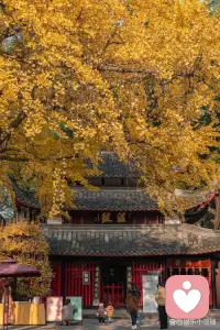 如何自我堪验恶业深浅的征兆？

了凡四训》中，袁了凡指出人往往“心粗眼翳”难以自察过失，但若‌过恶深重‌，身心会出现六种明确的“作孽之相”，可作为自我检视的标尺 ：‌‌

恶业深重的六种征兆
‌心神昏塞，转头即忘‌：精神萎靡、头脑昏沉，记忆力急剧下降，做事心不在焉，仿佛心性被蒙蔽 。
‌无事而常烦恼‌：并无实际困境，却莫名焦虑、胡思乱想，内心不得安宁，属自寻烦恼 。
‌见君子而赧然消沮‌：遇到品德高尚者，非但不生敬仰，反而感到羞愧、沮丧或想逃避，内心有愧 。
‌闻正论而不乐‌：听到圣贤道理或正能量言论，不仅不欢喜，反而抵触、厌烦甚至生气，习气与正法相悖 。
‌施惠而人反怨‌：好心帮助他人，对方不领情反而怨恨，这往往折射出自身发心不纯或方式有误，招致逆缘 。
‌夜梦颠倒，甚则妄言失志‌：频繁做噩梦、梦境混乱，严重时出现语无伦次、精神恍惚或丧失理智的状态 。‌‌
核心判断逻辑
若出现上述‌任意一类‌现象，即警示恶业已重，需立即“奋发，舍旧图新” 。判断的关键不在于外在遭遇多少灾难，而在于‌内心状态是否浑浊‌：是否失去清明、是否排斥善法、是否良知不安 。此外，若长期感觉身体沉重、能量不足，也是业力阻碍的侧面反映 。‌‌

应对建议
发现征兆不必恐慌，这正是改命的契机。了凡强调“改过之法”需具备‌耻心、畏心、勇心‌，通过真诚忏悔（发露过错）、断相续心（不再重犯）来消减业力，而非沉溺于自责 。‌‌配图