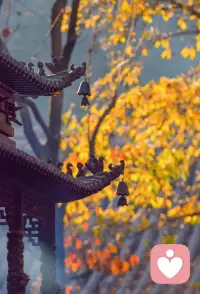明明懂得很多道理，也知道身上很多坏习惯，知道不好，但就是戒不掉，也做不到！这是不是很多人都困扰的问题？原因就在知道的力量还不够，一个正知见的认知模式是需要重复不断去熏习，它才能有形成惯性的力量，我们有力量改掉坏习惯，靠的是习惯力量的推动！不是简单的一句懂了就够了！要让他形成一股力量，如何让他有力量就是要不断去熏习重复去听最少听够二十一遍以上，这个认知才能逐渐有力量引导我们的身口意再变成实际行动去落实……配图