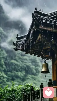 什么样的心态容易看到事情的本质真相？
清净心！
什么是清净心？
干净的能量磁场
干净的能量磁场怎么来？
专注力，专注的力量能让心沉静下来
心一平静，看事情自然明朗
比如，就像一杯水，混浊的时候更容易简单沉淀物还是干净的时候更容易见到沉淀物……配图