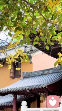 持戒不是束缚，持戒是一种保护机制，保护我们的辛苦积累的善业，福报，功德不流失，为什么很多人做了很多善事，总是很难明显感觉到善报的显现！各种不顺也没见多大的起色，原因是不改习气，不持戒！持戒=改习气！我们的各种恶气就像是漏斗，我们身口意的各种恶习不改我们的福报就一直在流失！什么是福报？福报有什么用？
福报也=能量！
福报的从哪里来？
福报从“利他”当中来
法布施，财布施，无畏布施
是积累福报的三大途径
福报跟我们有什么关系？
我们日常生活的衣，食，住，行，财，色，名，食，财富，权利，地位，美貌，美满的婚姻，健康的身心，子孙贤孝，生活的环境，舒适顺利的工作环境，好的心情心态，聪明智慧……都是通过消耗福报来获取！不同层次的生活环境背后就是福报银行的存款不同！一切都是福报的显化。
福报的消耗途径除了我们平常一些正常的生活以外，平时身口意太多的漏习恶业也会加速翻倍福报的消耗，尤其是邪淫和亏孝这两个消耗福报最狠…福报亏损严重各种就会以麻烦事，天灾人祸，病苦，各种烦恼呈现出来…
所以明因果，守道德，持戒是在保护自己和家人，不是束缚配图