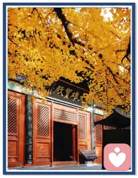 学习教理不等于修行
我之前说过，教理是要学的，但学明白后，一定要放下，我发现一些学佛人，走到了误区而不自知。
他们将“佛学”当成了一门知识、一种学问、甚至是一种可以用来批判他人，获得优越感的智力游戏。
他们学佛时间越长，研究越深，可能越觉自己懂得比别人多，这种“知见”反而助长了他的傲慢（我慢），使他更加难以生起谦卑、真实的信仰。这正好与净土宗强调的“仰凭佛力、彻底放下自我”的核心精神背道而驰。
他们的“信”是“解信”而非“证信”：他相信佛学是逻辑自洽的，但这种相信停留在头脑层面，是一种哲学认同，并未转化为灵魂深处的依托感和生命方向的根本转向。
净土法门看似容易，但真做到很难。净土宗常被说是“易行道”，但这个“易”，并不是门槛很低，而是相对于靠自力断惑证真的“难”而言的。
“易”在仰仗他力，但“信”本身极难：完全放下自我的操控感，将生命全然托付给一句佛号，这种“绝对的交付”需要粉碎“我执”的勇气，这恰恰是人性中最难突破的一关，一般人很难“通身放下，彻底靠倒”。
“易”，在于阿弥陀佛的宏誓大愿普度众生；“难”，在于凡夫那颗疑障深重、贪恋不舍的心。
所以，净业行人“心口不一，心行分离”；自欺欺人，叶公好龙，是极其普遍和常见的。
佛法的价值不在于知识的积累，而在于心性的转变。 如果修行不能对治贪、嗔、痴这些根本烦恼，那么懂得再多教理，也只不过是“数他人宝”，于了生脱死毫无用处。
所以，不要用“学习和研究”代替“修行”，知识是一把双刃剑，教你看清道路的同时，也可能会增加“我慢”，关键看你如何去用。
要时时返观自照，检查自己的“信愿”是否真实：你是真的愿意放下万缘，欣求净土？还是仅仅将佛法作为一时的安慰剂或谈资？
真信，是超越了顺逆境界的信心。不是在顺境中感觉良好，而是在逆境、病痛、乃至死亡面前，依然能投向弥陀愿力的那颗心。
切愿，是斩断对娑婆世界一切贪恋的决绝。不是口头的“我愿意往生”，而是在实际行动中，能看淡乃至放下对健康、寿命、情感和财物的抓取。
修行，是向内降伏烦恼，不是向外积累知识。懂再多佛学教理，如果无法对治自身的贪、嗔、痴；无法增强信愿心，那么所有的学问，都只是华丽的装饰，乃至皇帝的新装。
​配图
