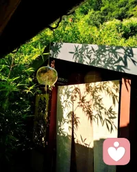 再大的福报，也经不起邪淫的消耗！当官邪淫，锒铛入狱！老板邪淫，企业崩塌！夫妻邪淫，家破人离！君王邪淫，江山易主！明星邪淫，身败名裂！邪淫是刮骨的刚刀！是穿肠的毒药！有福的人，他削你的福，无福的人他削你的命！再大的福报，也经不起邪淫一点点漏光！现在这个时代，敬色而远之，才是真正的大智慧！配图