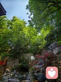慢下来，和自己的情绪好好相处。不内耗、不纠结，允许一切发生，也慢慢放过自己🌿配图
