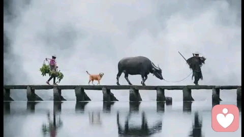 《界限》