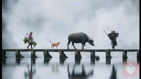 《界限》