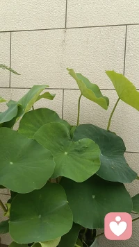 大家好！
以倾听为伴    
以真诚相待
七七倾听正式上线
接纳所有情绪  
化解内心内耗
慢下来  
治愈自己
拥抱从容配图