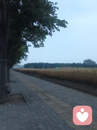 心门
 
深山里住着一位静心修行的老者，常有心事重重的人慕名前来倾诉。
 
有个年轻人满心疲惫赶来，抱怨生活处处不顺，人情皆是辜负，满心怨气久久无法平复。
 
老者听完，没有急于劝慰，只是指着院中的一扇木门问道：“你看这门，整日紧闭时，屋内昏暗压抑；轻轻推开，清风暖阳便能尽数涌入。”
 
年轻人若有所思。
 
老者缓缓开口：人心便如这扇门，总把心事紧锁，负面情绪就会困在心底反复缠绕。一味纠结过往对错、执念得失恩怨，只会困住自己脚步。
 
不必强迫自己立刻释怀，也不必硬撑着故作坚强。愿意敞开心扉诉说，便是与自己和解的开始。放下心底的枷锁，接纳所有情绪，心开阔了，烦恼自然就会慢慢消散。
 
往后放宽心境，好好善待自己，前路自有温柔光景。
 
 配图