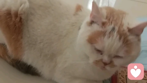 治愈