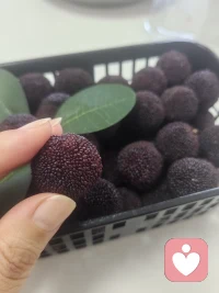 大家好，我叫大橙子吖，很高兴今天来到这里跟大家见面，性格随和踏实，共情力强，真心待人。愿意安静听你唠嗑、倾诉情绪，排解生活压力和心里委屈。不评判、不说教，暖心陪伴，做你深夜最安心的倾听港湾。配图