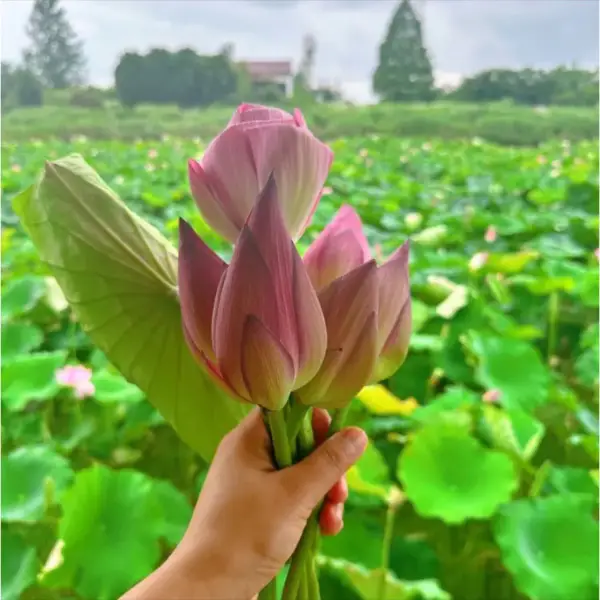 知心叙旧