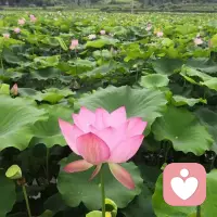 慢慢接纳自己的情绪，允许低落，允许疲惫，允许暂时不那么坚强。
人生不必时刻发光，偶尔松弛、偶尔沉默，也是好好在生活。
照顾好内心的小孩，比什么都重要✨配图